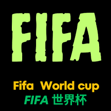 厄瓜多尔世界杯48强之路：南美之狮的防守艺术